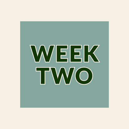 Kuyper Sports Summer Camp | Week 2: June 8-12, 2026