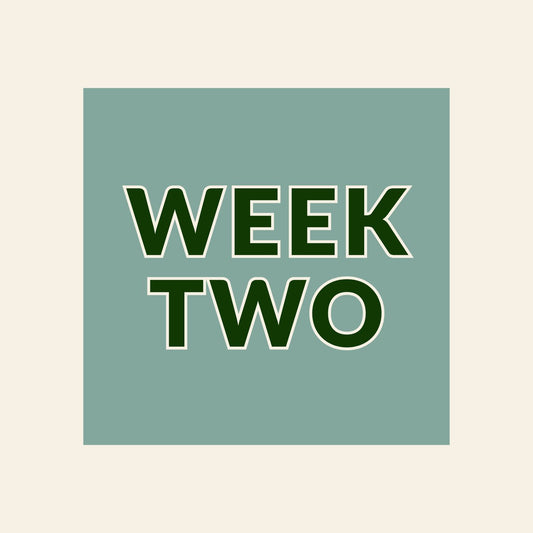 Kuyper Sports Summer Camp | Week 2: June 8-12, 2026