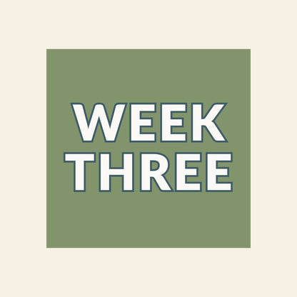 Kuyper Sports Summer Camp | Week 3: June 15-19, 2026