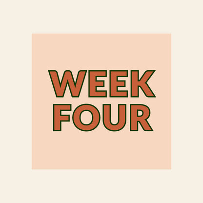 Kuyper Sports Summer Camp | Week 4: June 22-26, 2026