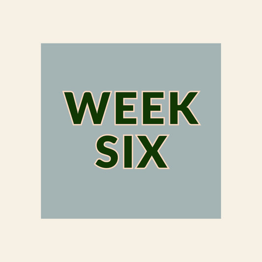 Kuyper Sports Summer Camp | Week 6: July 13-17, 2026